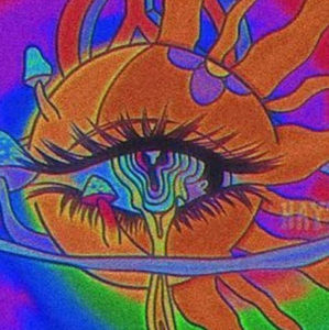 Meet your Posher, Landon